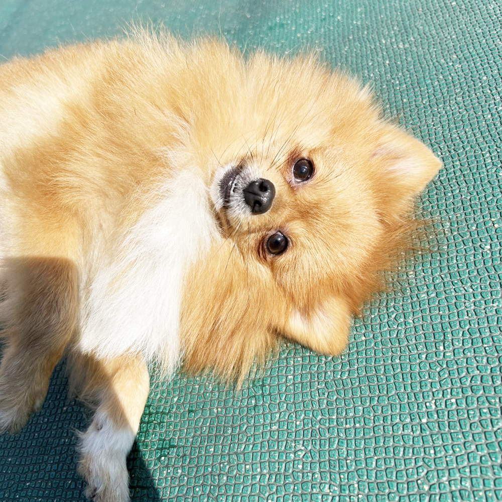 生徒が撮影した写真を送ってくれました②
